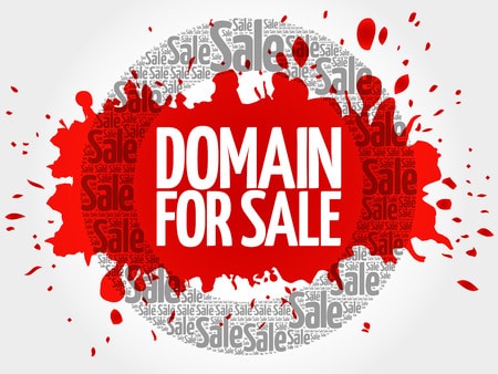 domain for sale words cloud, business concept background
